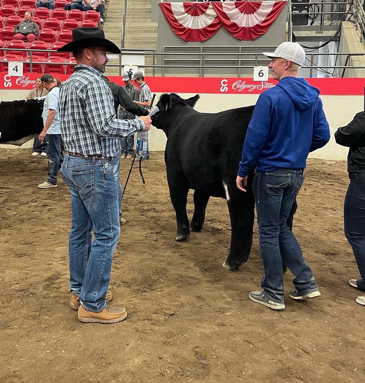 Calgary Stampede Steer Show Smith & Griffith Real Estate Team Smith